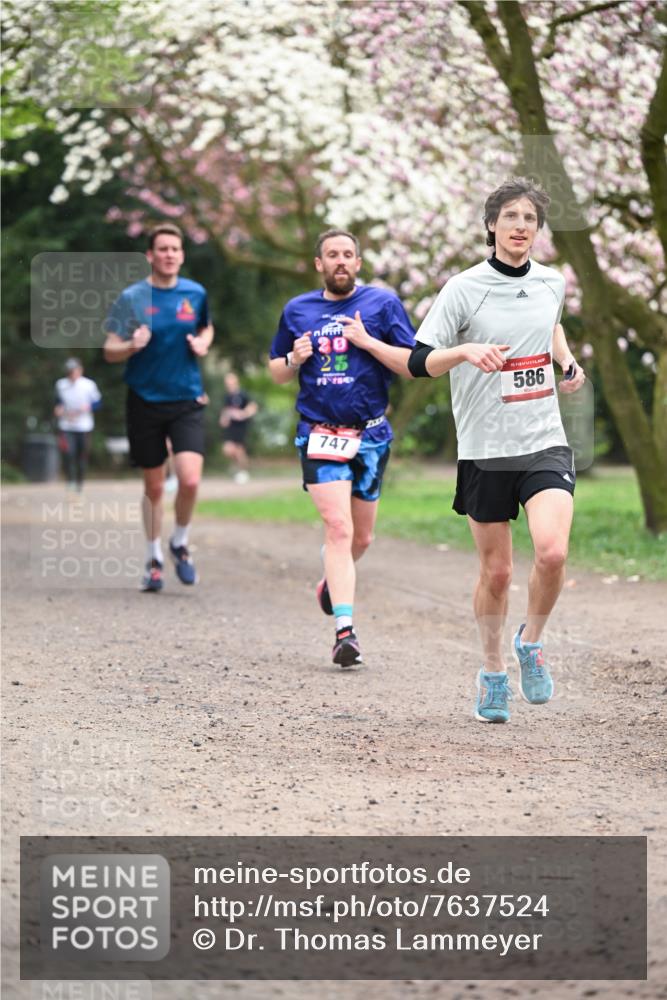 13.04.2025 - Hammer Lauf Dr. Thomas Lammeyer http://msf.ph/oto/7637524 13.04.2025 10:06:40 Laufen 225, 23, 15, 586, 747 meine-sportfotos.de