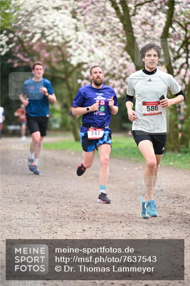13.04.2025 - Hammer Lauf Dr. Thomas Lammeyer http://msf.ph/oto/7637543 13.04.2025 10:06:41 Laufen 73, 180, 747, 15, 586 meine-sportfotos.de