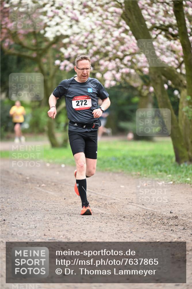 13.04.2025 - Hammer Lauf Dr. Thomas Lammeyer http://msf.ph/oto/7637865 13.04.2025 10:06:57 Laufen 15, 272 meine-sportfotos.de