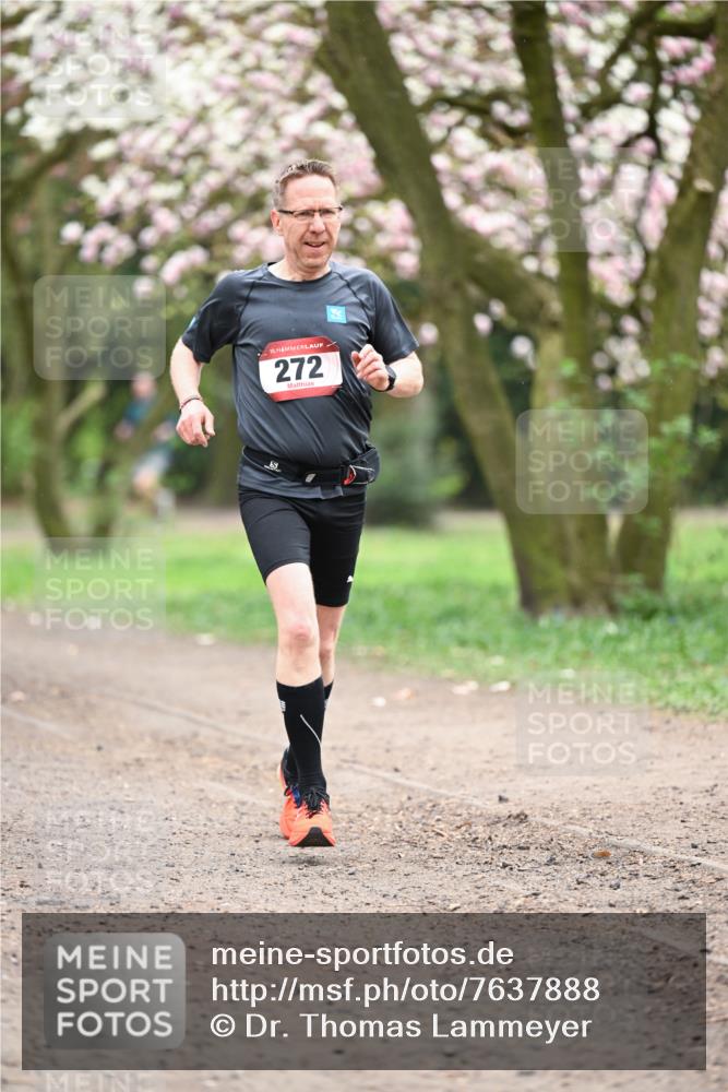 13.04.2025 - Hammer Lauf Dr. Thomas Lammeyer http://msf.ph/oto/7637888 13.04.2025 10:06:57 Laufen 15, 272 meine-sportfotos.de