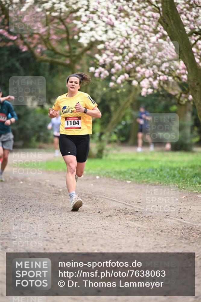 13.04.2025 - Hammer Lauf Dr. Thomas Lammeyer http://msf.ph/oto/7638063 13.04.2025 10:07:07 Laufen 1104 meine-sportfotos.de