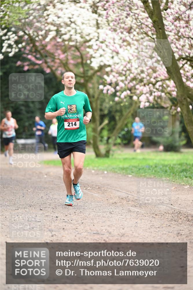 13.04.2025 - Hammer Lauf Dr. Thomas Lammeyer http://msf.ph/oto/7639020 13.04.2025 10:07:57 Laufen 15, 214 meine-sportfotos.de