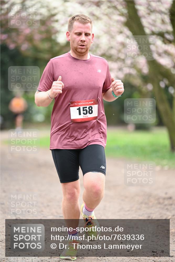 13.04.2025 - Hammer Lauf Dr. Thomas Lammeyer http://msf.ph/oto/7639336 13.04.2025 10:08:15 Laufen 15, 158 meine-sportfotos.de