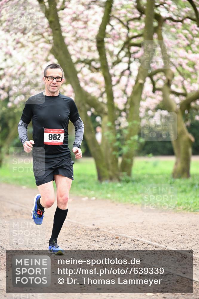 13.04.2025 - Hammer Lauf Dr. Thomas Lammeyer http://msf.ph/oto/7639339 13.04.2025 10:08:24 Laufen 15, 982 meine-sportfotos.de