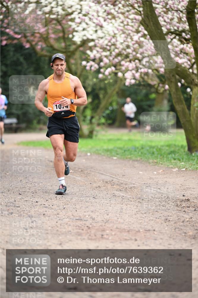 13.04.2025 - Hammer Lauf Dr. Thomas Lammeyer http://msf.ph/oto/7639362 13.04.2025 10:08:26 Laufen 104 meine-sportfotos.de