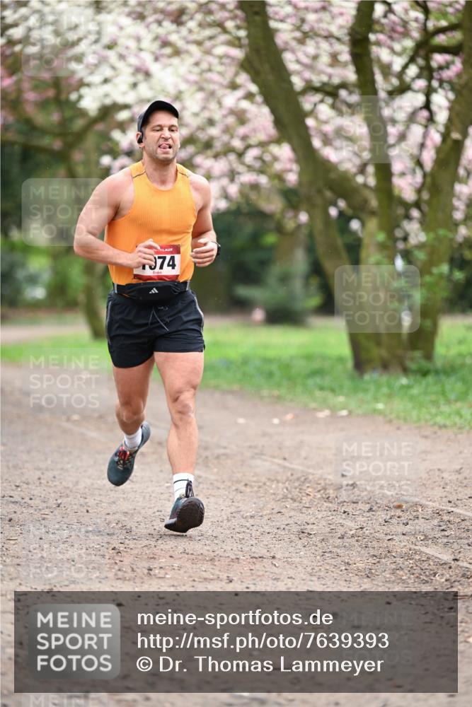13.04.2025 - Hammer Lauf Dr. Thomas Lammeyer http://msf.ph/oto/7639393 13.04.2025 10:08:26 Laufen 74 meine-sportfotos.de