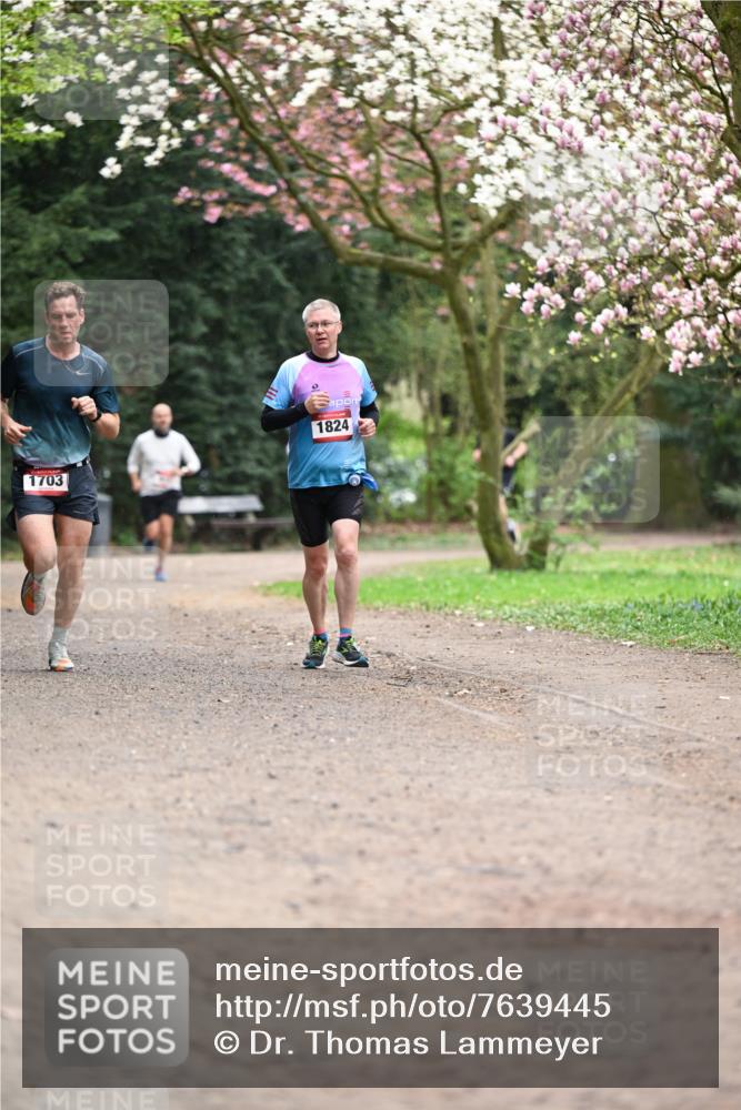 13.04.2025 - Hammer Lauf Dr. Thomas Lammeyer http://msf.ph/oto/7639445 13.04.2025 10:08:31 Laufen 1703, 1824 meine-sportfotos.de