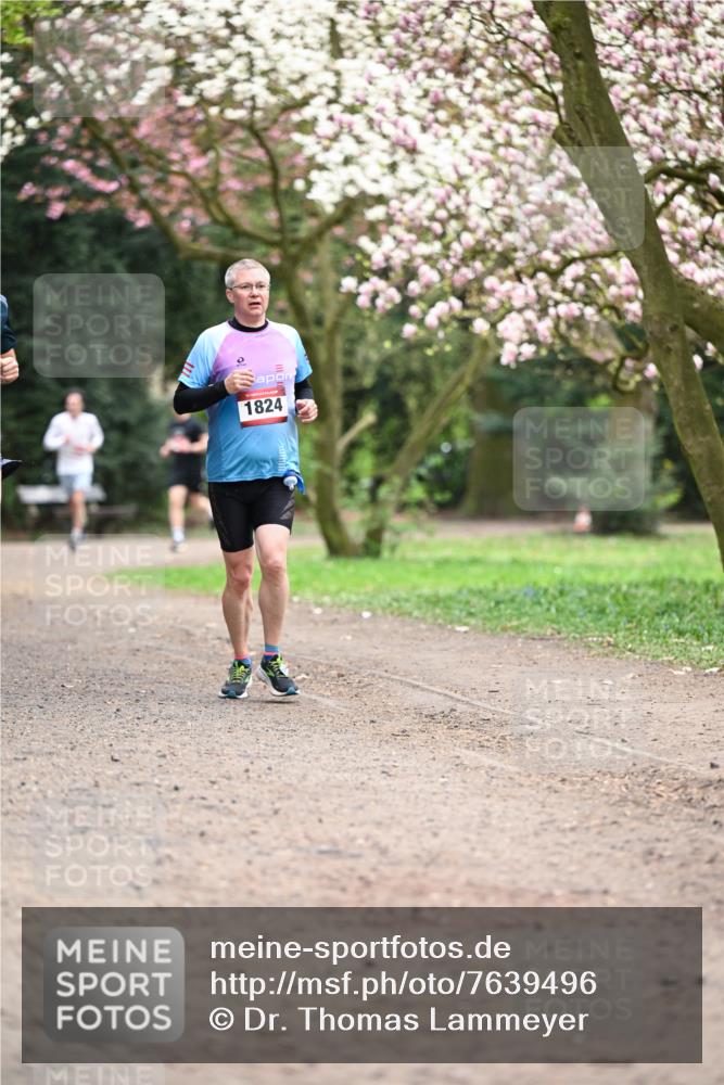 13.04.2025 - Hammer Lauf Dr. Thomas Lammeyer http://msf.ph/oto/7639496 13.04.2025 10:08:32 Laufen 1824 meine-sportfotos.de