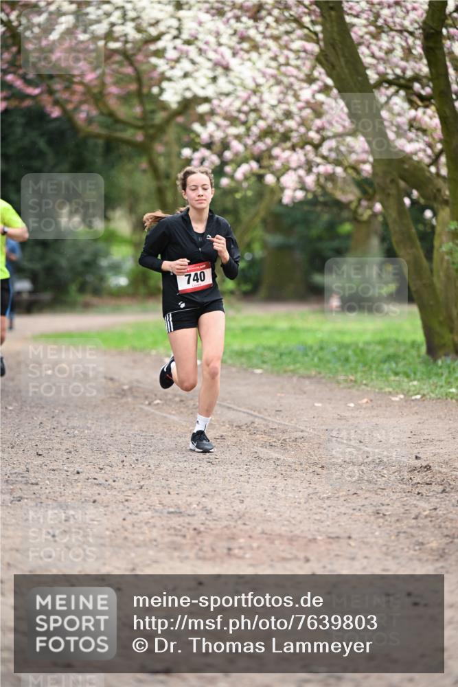 13.04.2025 - Hammer Lauf Dr. Thomas Lammeyer http://msf.ph/oto/7639803 13.04.2025 10:08:52 Laufen 740 meine-sportfotos.de