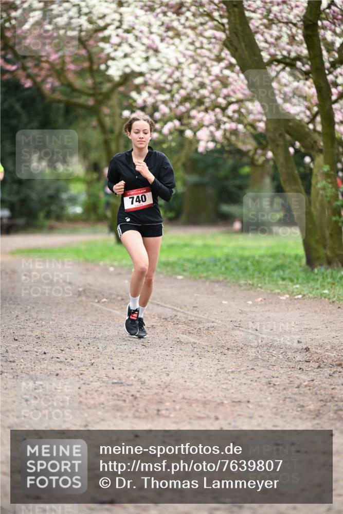 13.04.2025 - Hammer Lauf Dr. Thomas Lammeyer http://msf.ph/oto/7639807 13.04.2025 10:08:53 Laufen 15, 740 meine-sportfotos.de