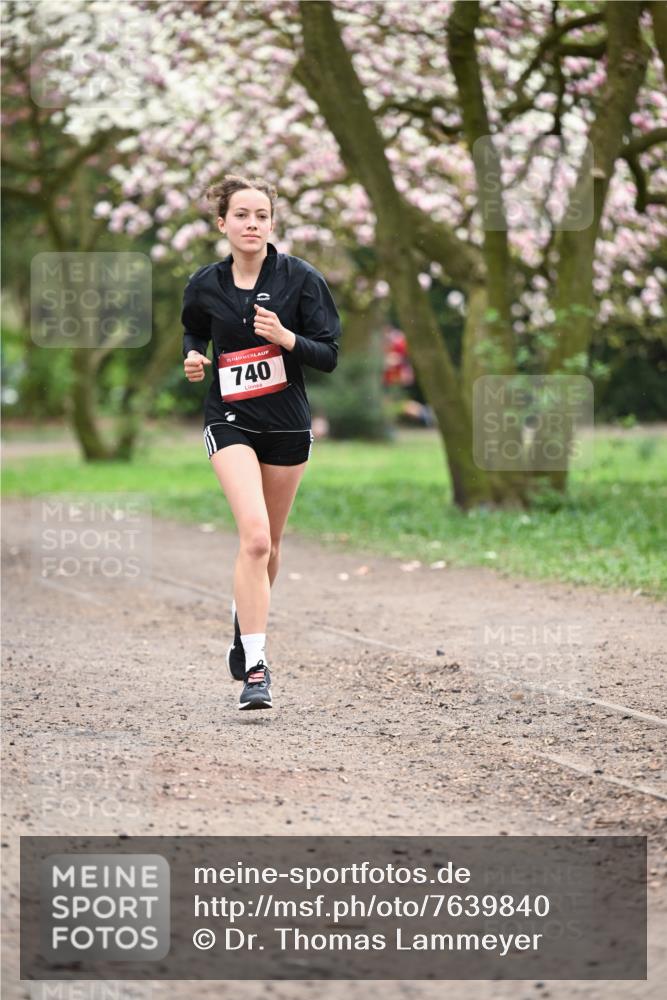 13.04.2025 - Hammer Lauf Dr. Thomas Lammeyer http://msf.ph/oto/7639840 13.04.2025 10:08:53 Laufen 15, 740 meine-sportfotos.de