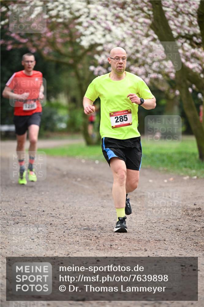 13.04.2025 - Hammer Lauf Dr. Thomas Lammeyer http://msf.ph/oto/7639898 13.04.2025 10:08:56 Laufen 285 meine-sportfotos.de