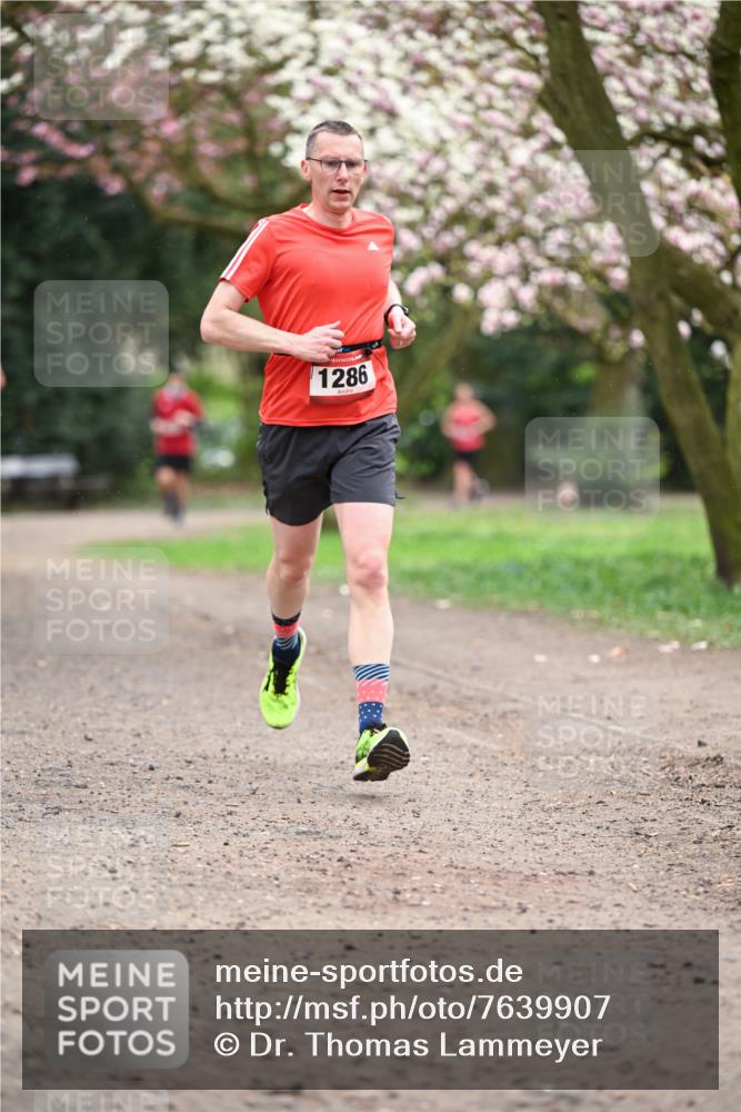 13.04.2025 - Hammer Lauf Dr. Thomas Lammeyer http://msf.ph/oto/7639907 13.04.2025 10:08:57 Laufen 1286 meine-sportfotos.de