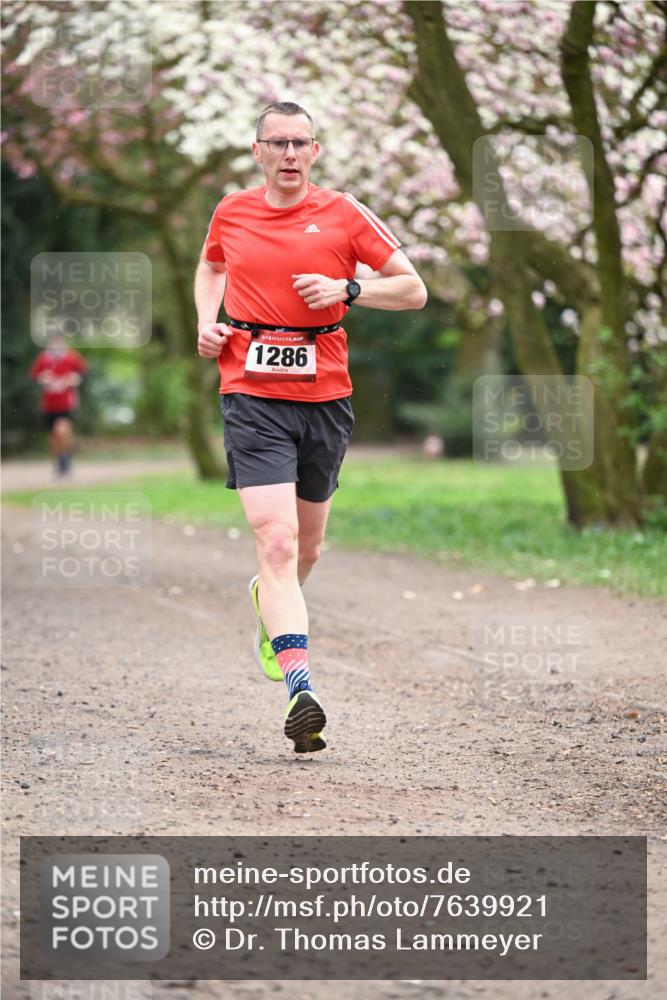 13.04.2025 - Hammer Lauf Dr. Thomas Lammeyer http://msf.ph/oto/7639921 13.04.2025 10:08:58 Laufen 1286 meine-sportfotos.de