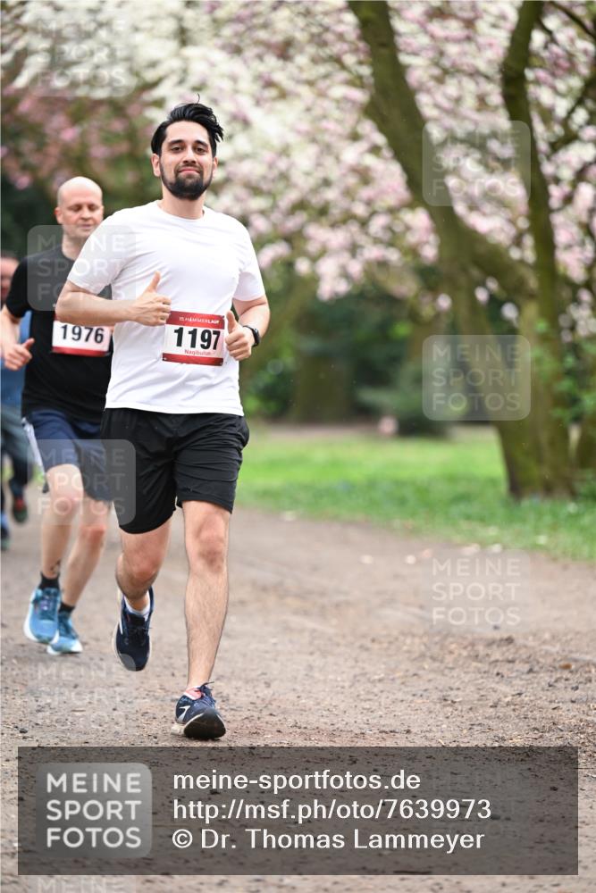 13.04.2025 - Hammer Lauf Dr. Thomas Lammeyer http://msf.ph/oto/7639973 13.04.2025 10:09:02 Laufen 1976, 15, 1197 meine-sportfotos.de