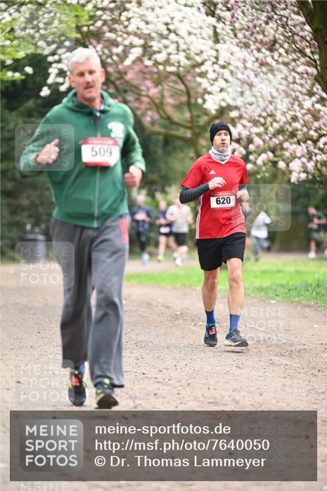 13.04.2025 - Hammer Lauf Dr. Thomas Lammeyer http://msf.ph/oto/7640050 13.04.2025 10:09:09 Laufen 509, 620 meine-sportfotos.de