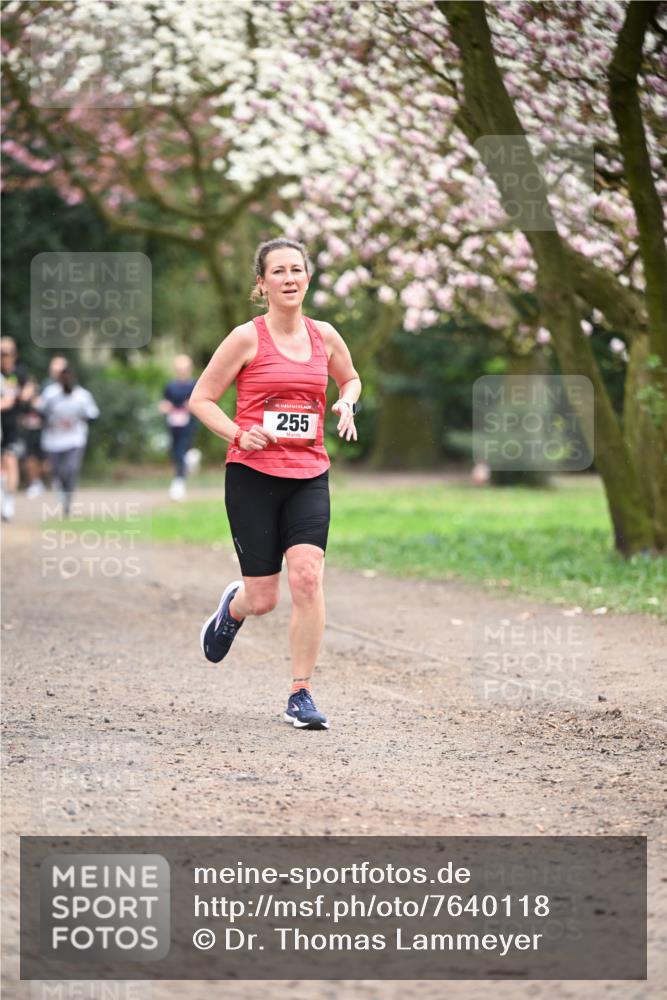 13.04.2025 - Hammer Lauf Dr. Thomas Lammeyer http://msf.ph/oto/7640118 13.04.2025 10:09:13 Laufen 15, 255 meine-sportfotos.de
