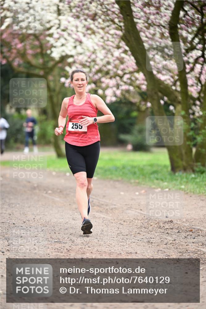 13.04.2025 - Hammer Lauf Dr. Thomas Lammeyer http://msf.ph/oto/7640129 13.04.2025 10:09:14 Laufen 255 meine-sportfotos.de