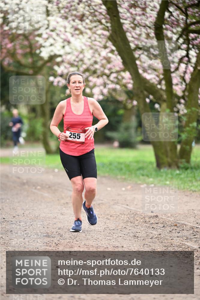 13.04.2025 - Hammer Lauf Dr. Thomas Lammeyer http://msf.ph/oto/7640133 13.04.2025 10:09:14 Laufen 255 meine-sportfotos.de