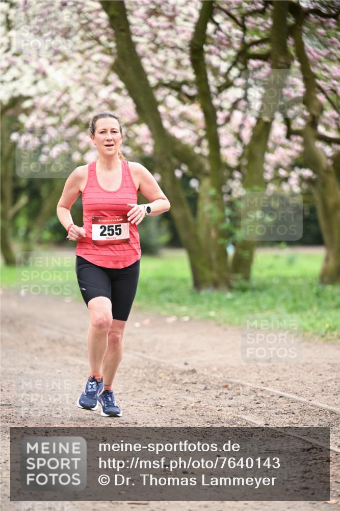 13.04.2025 - Hammer Lauf Dr. Thomas Lammeyer http://msf.ph/oto/7640143 13.04.2025 10:09:14 Laufen 15, 255 meine-sportfotos.de