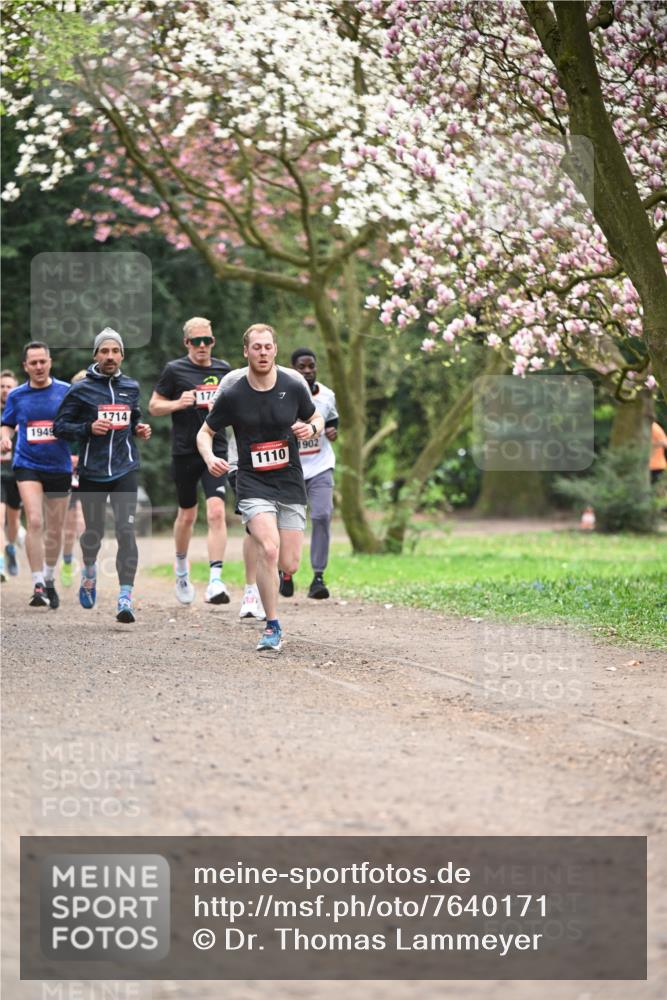 13.04.2025 - Hammer Lauf Dr. Thomas Lammeyer http://msf.ph/oto/7640171 13.04.2025 10:09:19 Laufen 1714, 1949, 17, 7, 1902, 1110 meine-sportfotos.de