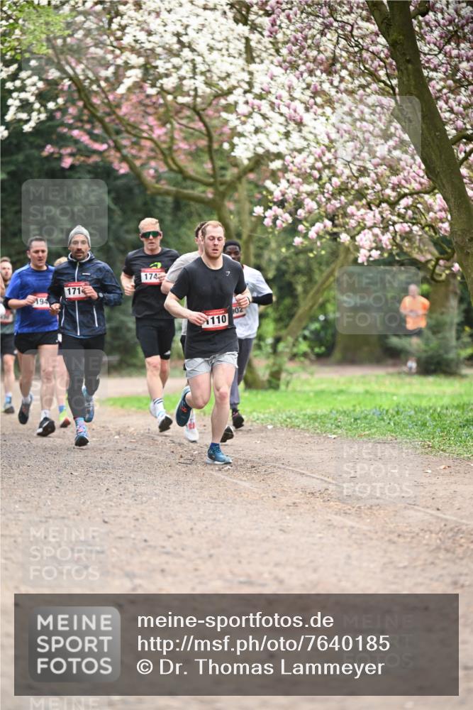 13.04.2025 - Hammer Lauf Dr. Thomas Lammeyer http://msf.ph/oto/7640185 13.04.2025 10:09:19 Laufen 194, 171, 174, 902, 110 meine-sportfotos.de