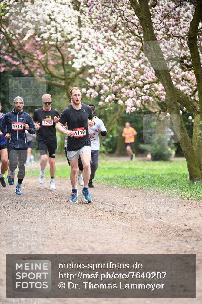 13.04.2025 - Hammer Lauf Dr. Thomas Lammeyer http://msf.ph/oto/7640207 13.04.2025 10:09:20 Laufen 1714, 1743, 1110, 02 meine-sportfotos.de