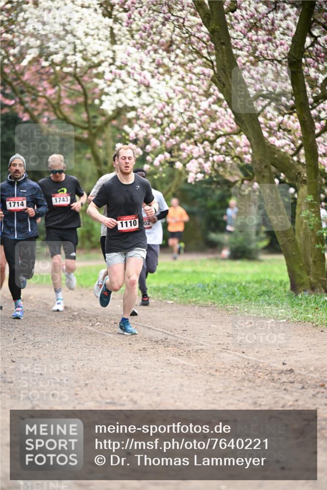 13.04.2025 - Hammer Lauf Dr. Thomas Lammeyer http://msf.ph/oto/7640221 13.04.2025 10:09:20 Laufen 1714, 1743, 1110, 02 meine-sportfotos.de