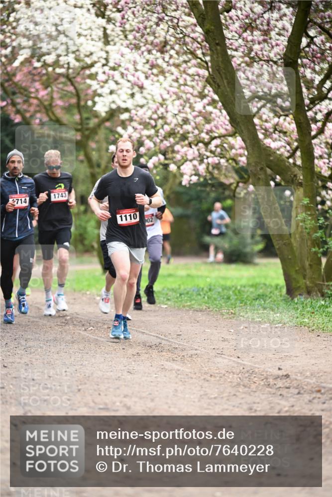 13.04.2025 - Hammer Lauf Dr. Thomas Lammeyer http://msf.ph/oto/7640228 13.04.2025 10:09:20 Laufen 714, 1743, 1110, 02 meine-sportfotos.de