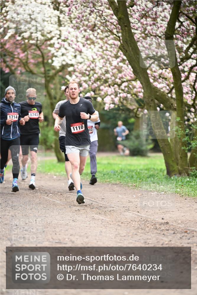 13.04.2025 - Hammer Lauf Dr. Thomas Lammeyer http://msf.ph/oto/7640234 13.04.2025 10:09:20 Laufen 1743, 1714, 1110 meine-sportfotos.de