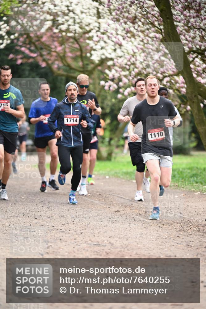 13.04.2025 - Hammer Lauf Dr. Thomas Lammeyer http://msf.ph/oto/7640255 13.04.2025 10:09:21 Laufen 715, 1714, 7, 1110 meine-sportfotos.de