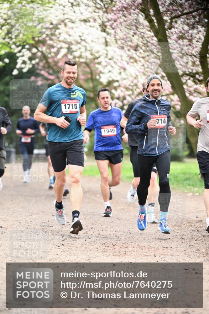 13.04.2025 - Hammer Lauf Dr. Thomas Lammeyer http://msf.ph/oto/7640275 13.04.2025 10:09:23 Laufen 1949, 714 meine-sportfotos.de