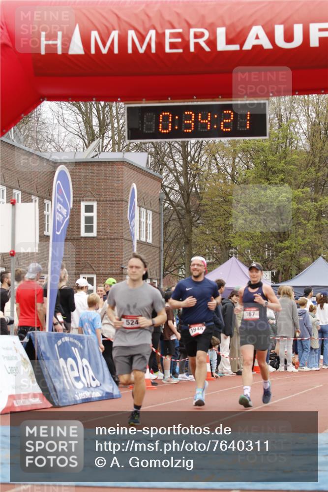 13.04.2025 - Hammer Lauf A. Gomolzig http://msf.ph/oto/7640311 13.04.2025 11:34:19 Ziel 8, 167, 524, 617, 1945 meine-sportfotos.de