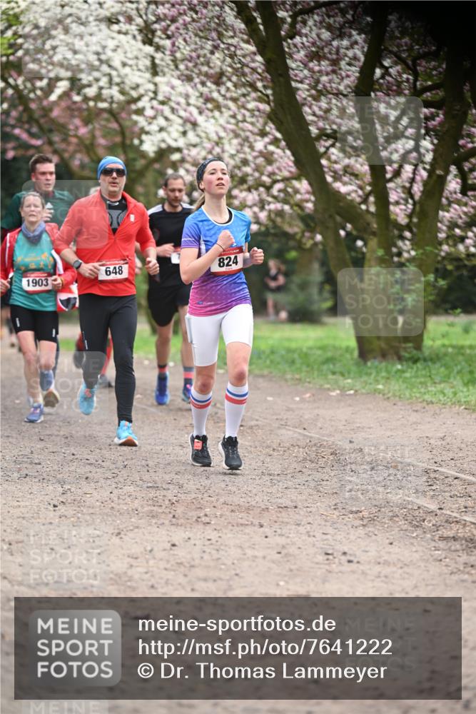 13.04.2025 - Hammer Lauf Dr. Thomas Lammeyer http://msf.ph/oto/7641222 13.04.2025 10:10:04 Laufen 648, 1903, 824, 20 meine-sportfotos.de