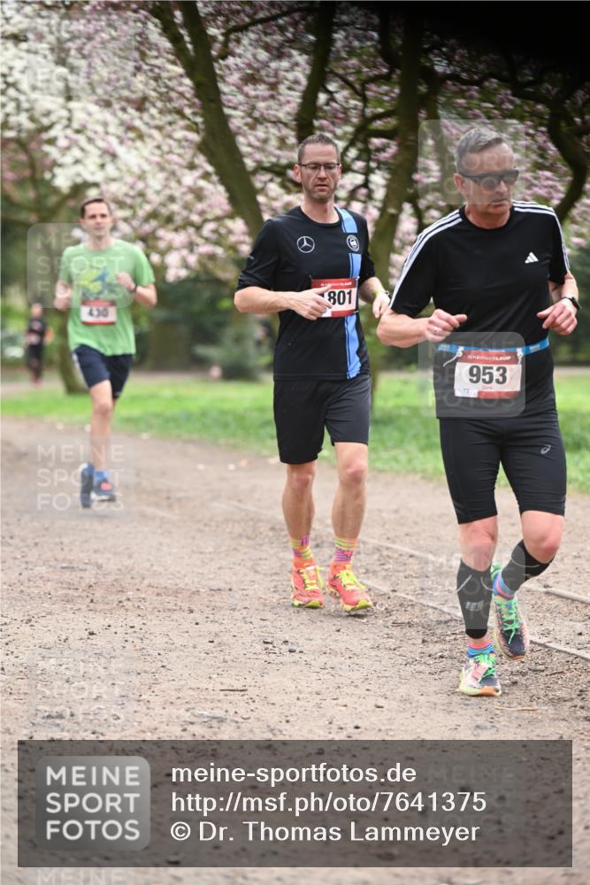 13.04.2025 - Hammer Lauf Dr. Thomas Lammeyer http://msf.ph/oto/7641375 13.04.2025 10:10:15 Laufen 430, 801, 72, 5, 953 meine-sportfotos.de