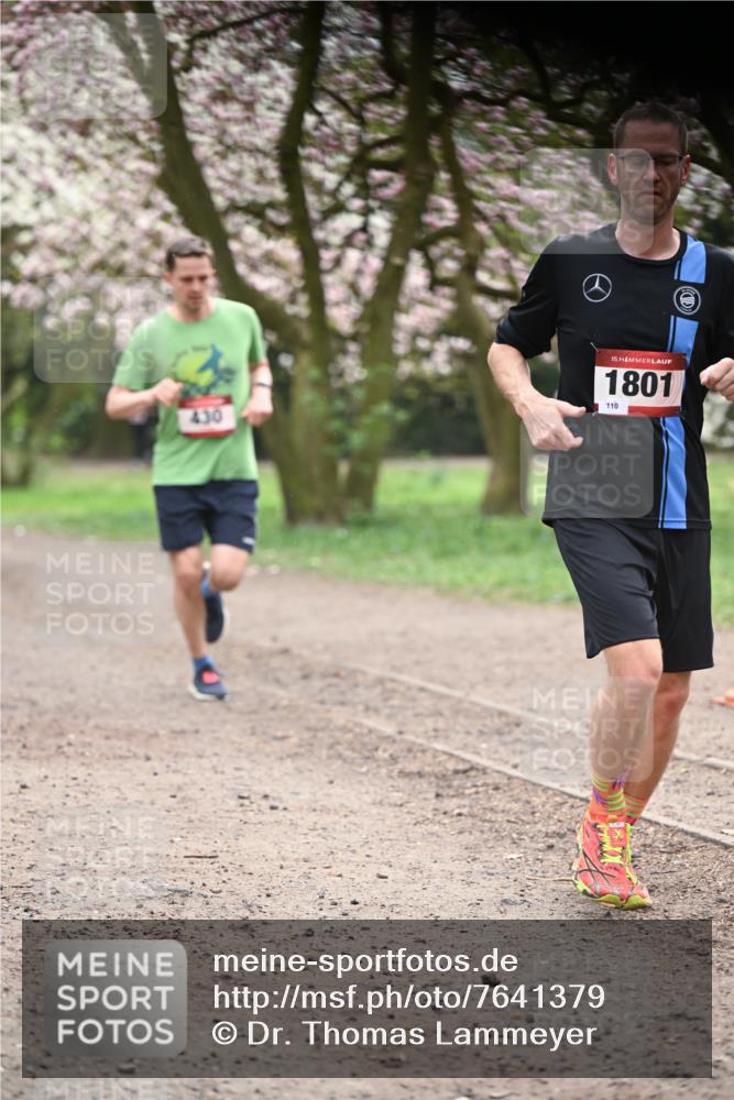 13.04.2025 - Hammer Lauf Dr. Thomas Lammeyer http://msf.ph/oto/7641379 13.04.2025 10:10:16 Laufen 430, 15, 1801, 110 meine-sportfotos.de