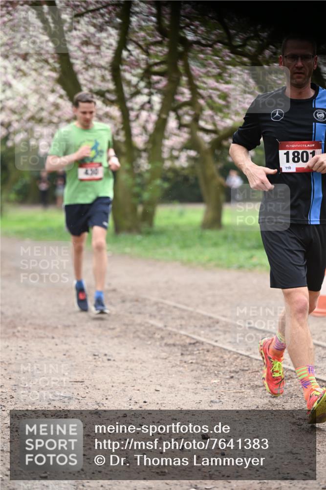 13.04.2025 - Hammer Lauf Dr. Thomas Lammeyer http://msf.ph/oto/7641383 13.04.2025 10:10:16 Laufen 430, 15, 1801, 110 meine-sportfotos.de