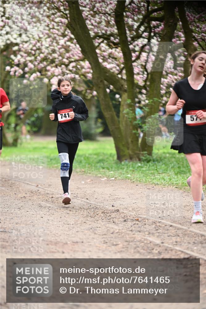 13.04.2025 - Hammer Lauf Dr. Thomas Lammeyer http://msf.ph/oto/7641465 13.04.2025 10:10:23 Laufen 741, 57 meine-sportfotos.de