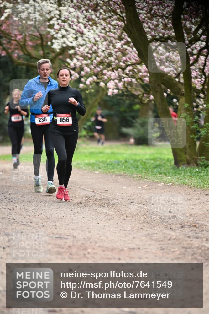 13.04.2025 - Hammer Lauf Dr. Thomas Lammeyer http://msf.ph/oto/7641549 13.04.2025 10:10:28 Laufen 238, 956 meine-sportfotos.de