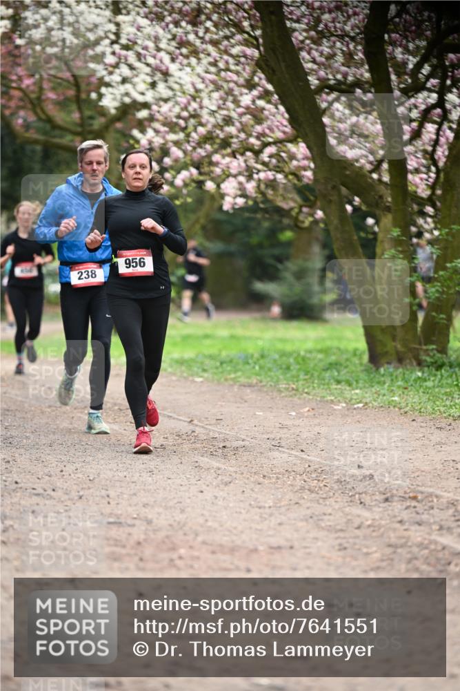13.04.2025 - Hammer Lauf Dr. Thomas Lammeyer http://msf.ph/oto/7641551 13.04.2025 10:10:28 Laufen 956, 238 meine-sportfotos.de