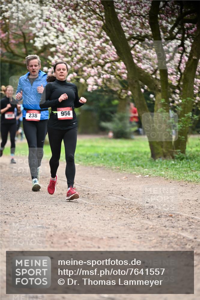13.04.2025 - Hammer Lauf Dr. Thomas Lammeyer http://msf.ph/oto/7641557 13.04.2025 10:10:29 Laufen 238, 956 meine-sportfotos.de