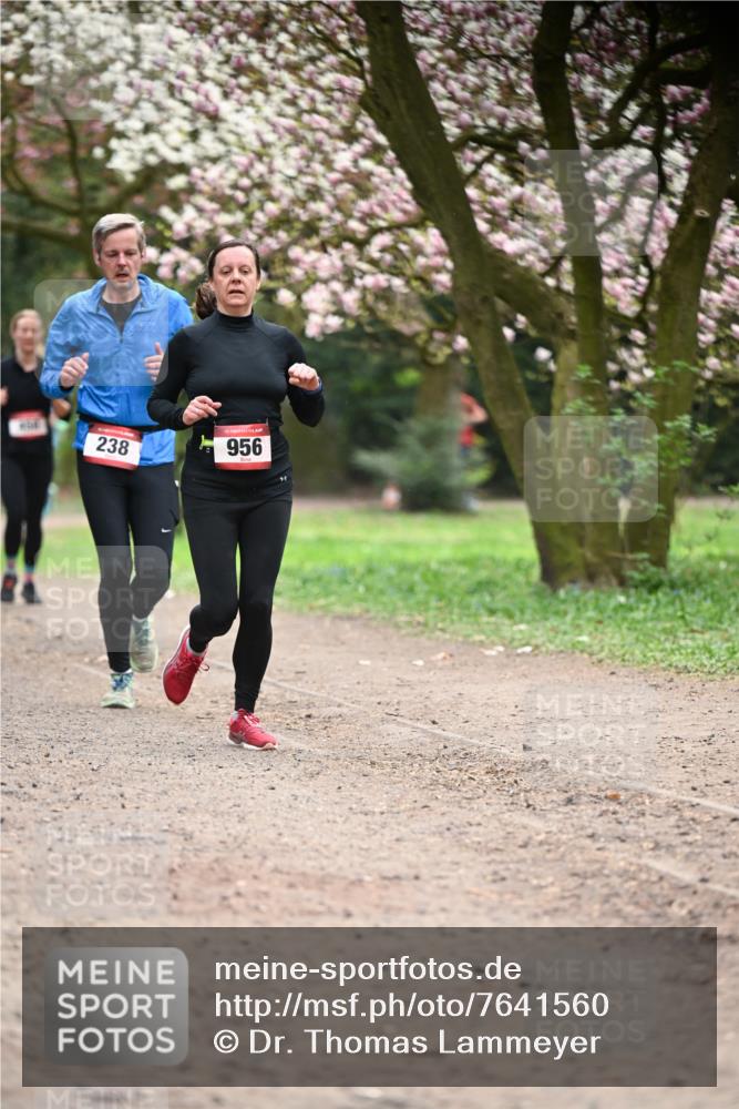 13.04.2025 - Hammer Lauf Dr. Thomas Lammeyer http://msf.ph/oto/7641560 13.04.2025 10:10:29 Laufen 238, 956 meine-sportfotos.de