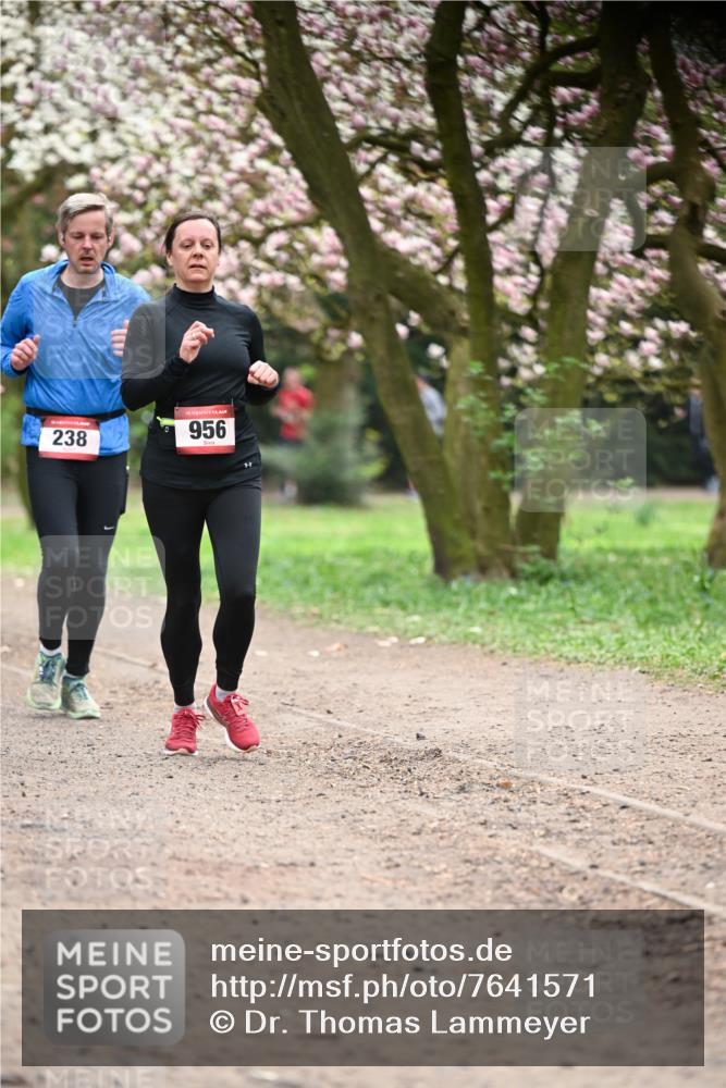 13.04.2025 - Hammer Lauf Dr. Thomas Lammeyer http://msf.ph/oto/7641571 13.04.2025 10:10:29 Laufen 238, 15, 956 meine-sportfotos.de