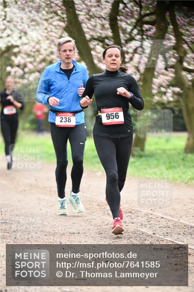 13.04.2025 - Hammer Lauf Dr. Thomas Lammeyer http://msf.ph/oto/7641585 13.04.2025 10:10:30 Laufen 238, 15, 956, 8 meine-sportfotos.de