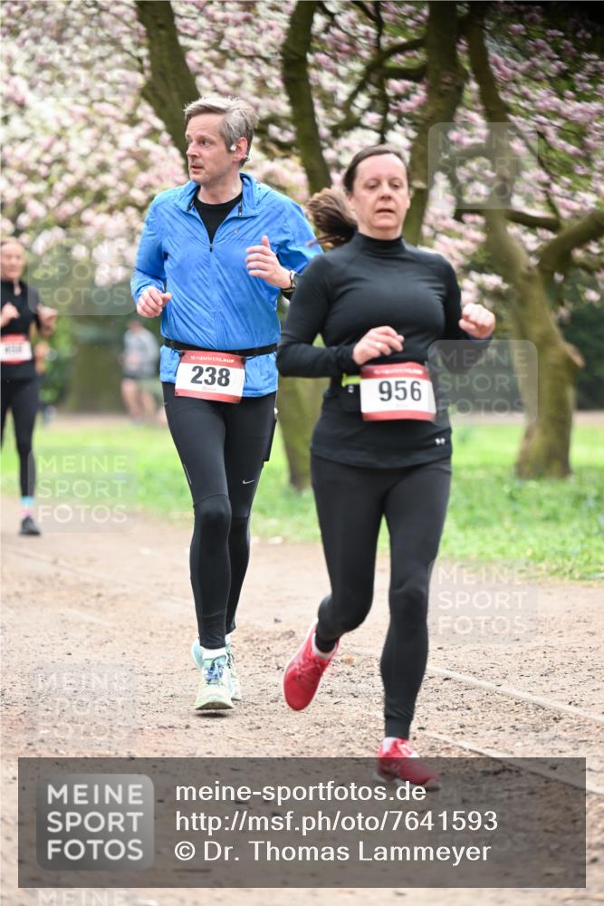 13.04.2025 - Hammer Lauf Dr. Thomas Lammeyer http://msf.ph/oto/7641593 13.04.2025 10:10:31 Laufen 15, 238, 956 meine-sportfotos.de