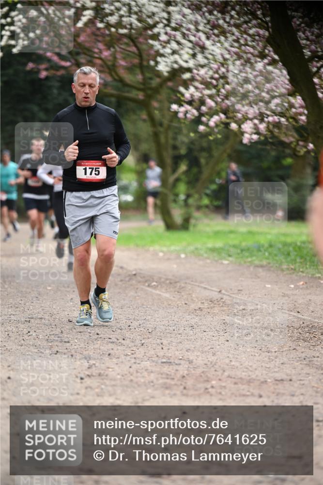 13.04.2025 - Hammer Lauf Dr. Thomas Lammeyer http://msf.ph/oto/7641625 13.04.2025 10:10:33 Laufen 15, 175 meine-sportfotos.de