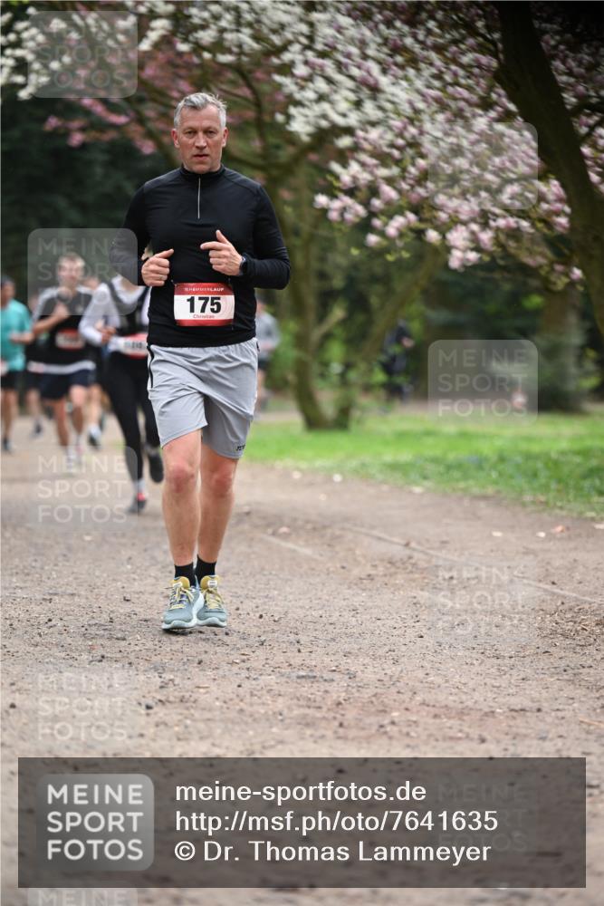 13.04.2025 - Hammer Lauf Dr. Thomas Lammeyer http://msf.ph/oto/7641635 13.04.2025 10:10:33 Laufen 15, 175 meine-sportfotos.de