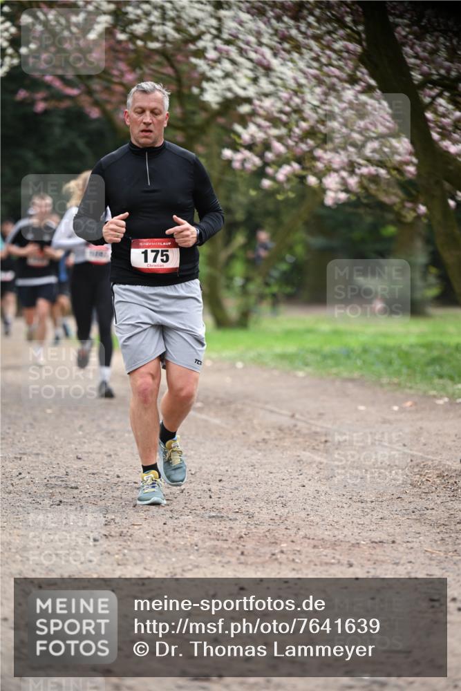 13.04.2025 - Hammer Lauf Dr. Thomas Lammeyer http://msf.ph/oto/7641639 13.04.2025 10:10:34 Laufen 15, 175 meine-sportfotos.de