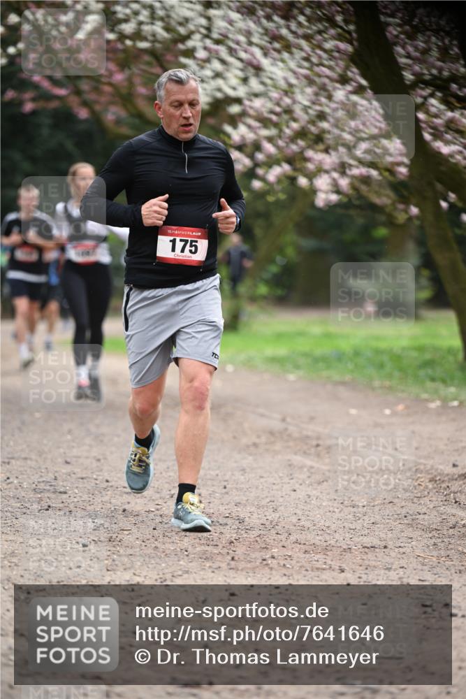 13.04.2025 - Hammer Lauf Dr. Thomas Lammeyer http://msf.ph/oto/7641646 13.04.2025 10:10:34 Laufen 15, 175 meine-sportfotos.de