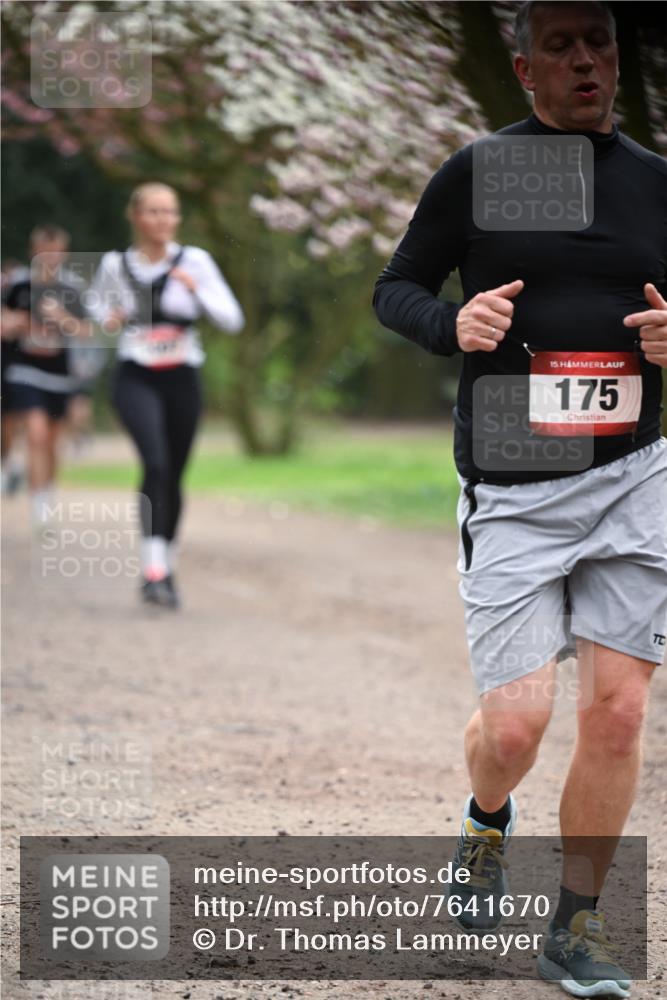13.04.2025 - Hammer Lauf Dr. Thomas Lammeyer http://msf.ph/oto/7641670 13.04.2025 10:10:35 Laufen 15, 175 meine-sportfotos.de